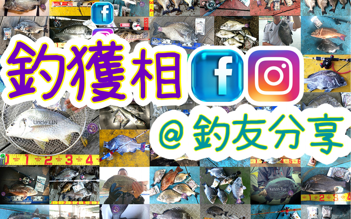 釣獲相 Facebook / IG